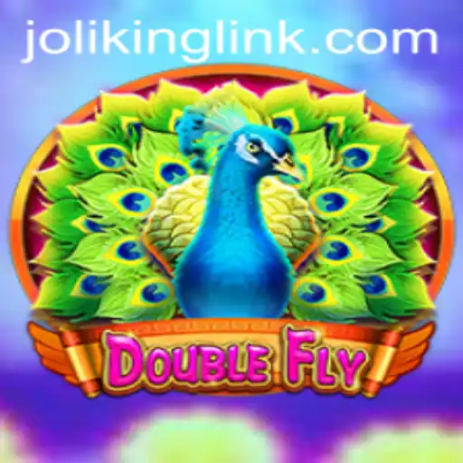 Discovering DoubleFly: A New Adventure by Joliking.COM